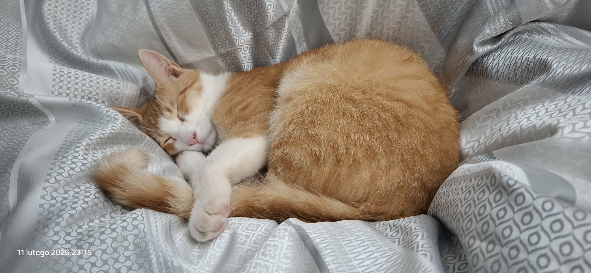 Nowa Sól, ul. Kochanowskiego