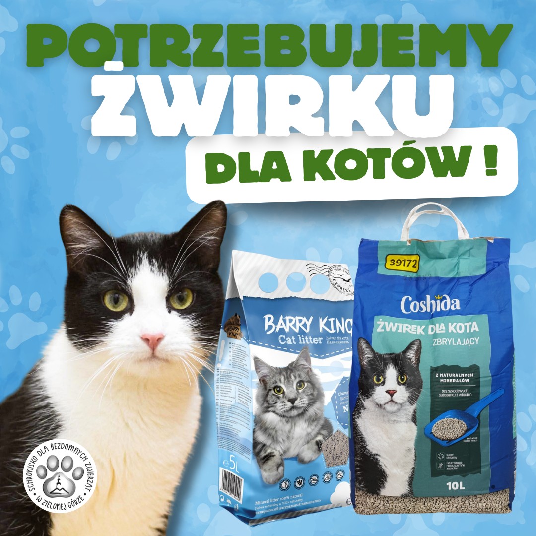 Potrzebujemy żwirku dla kotów!