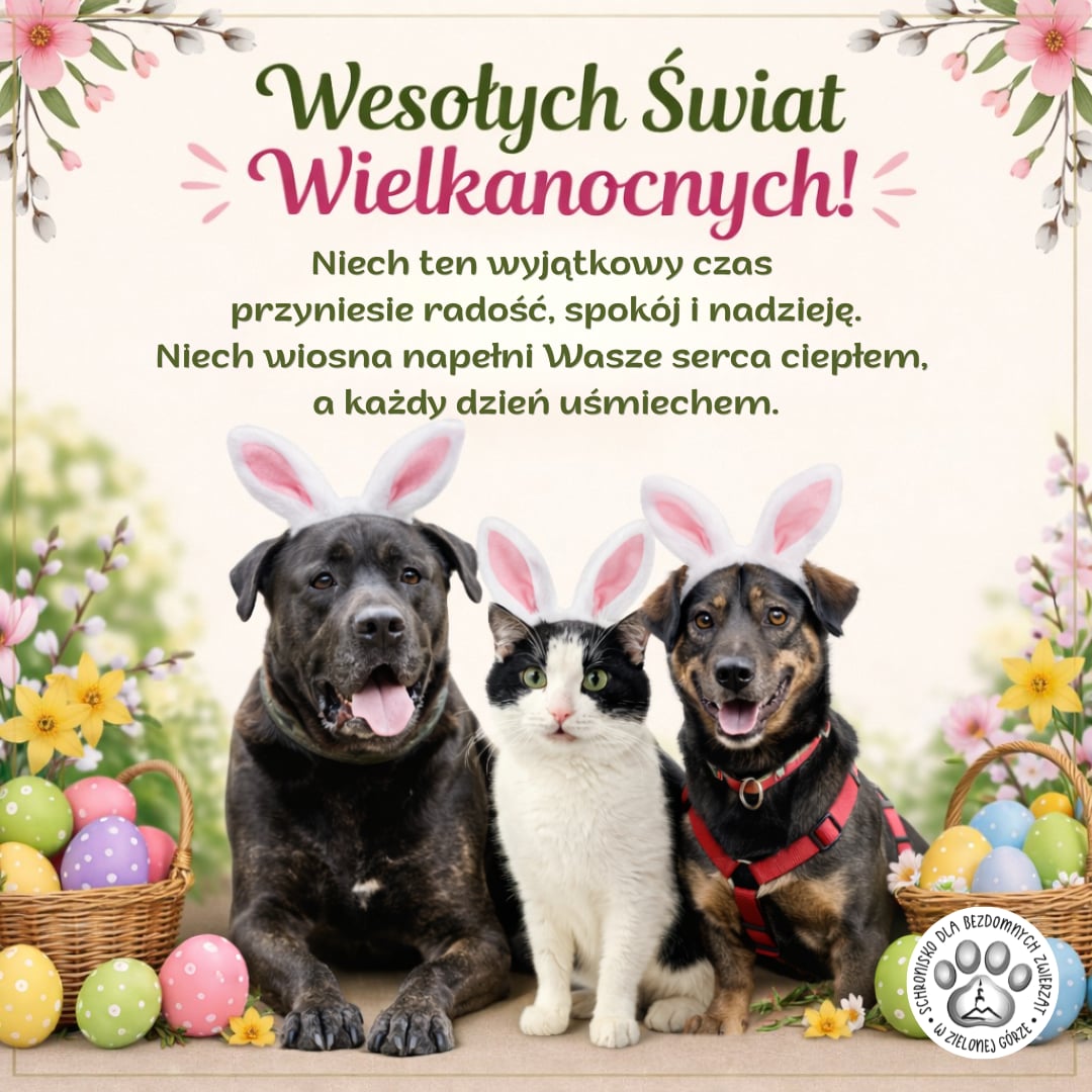 Wesołych Świąt Wielkanocnych!