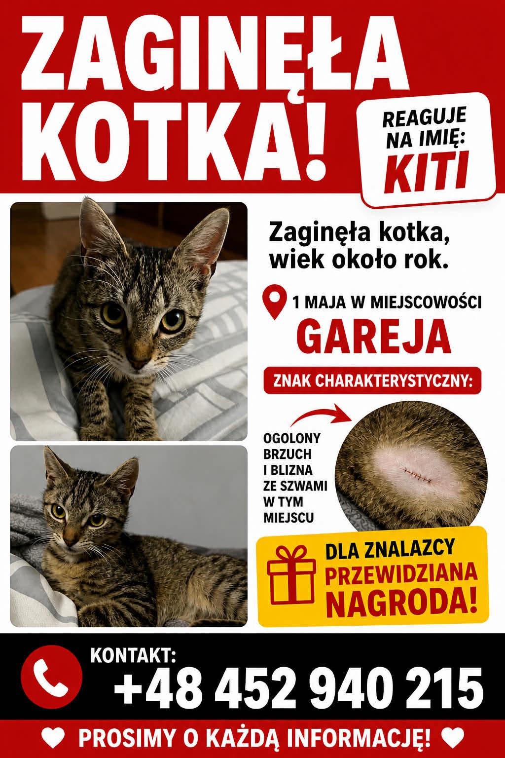 Zaginęła kotka – Mierków, Gareja