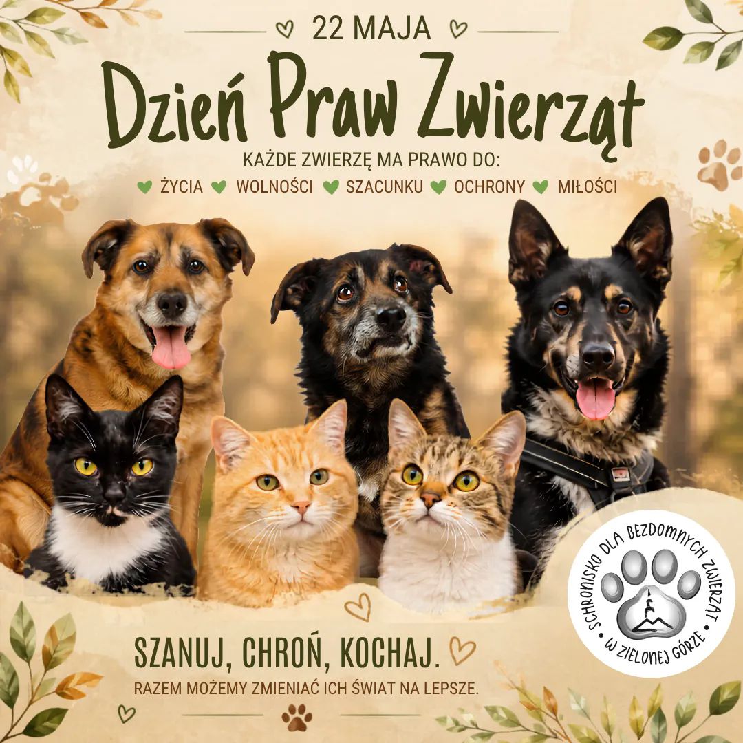 22 maja – Ogólnopolski Dzień Praw Zwierząt