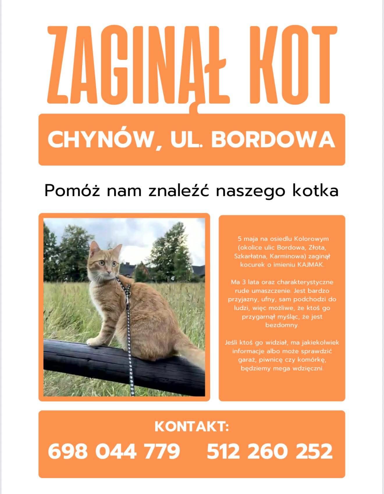 Zaginął kot Kajmak – Chynów