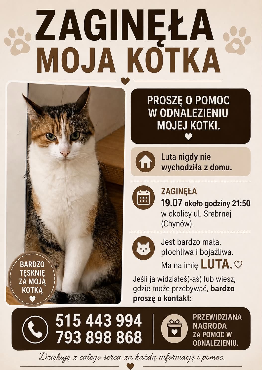 Zaginęła kotka Luta – Chynów
